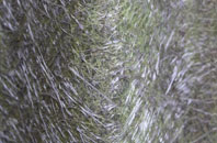 Four Oaks Park fibreglass roof work